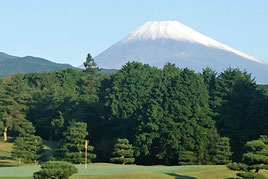 Mt. Fuji Area